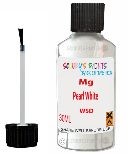 Paint touch for hs pearl - touch,