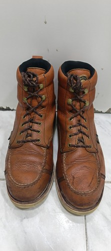 Irish setter red - irish,