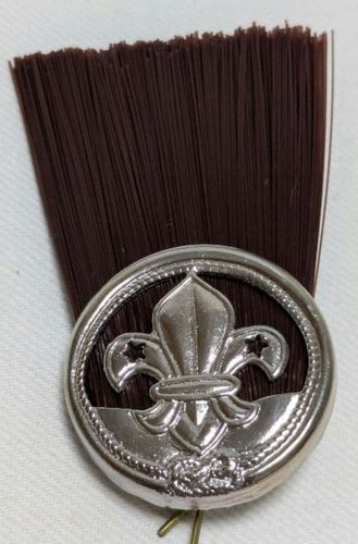Boy scout hat - boy, feather