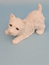 WEST HIGHLAND TERRIER White