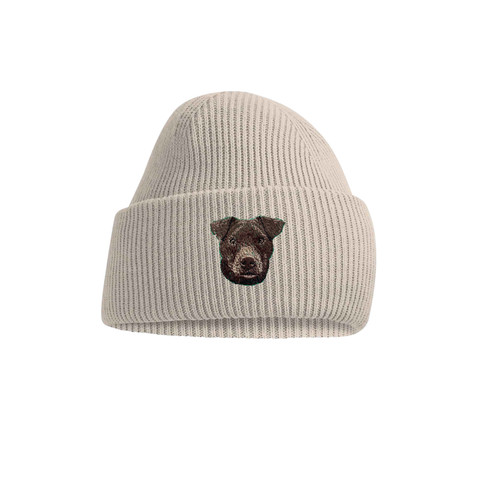 Brown patterdale terrier dog - brown,