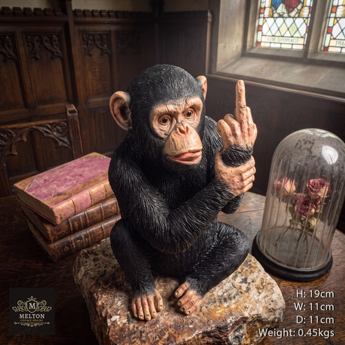 Rude monkey sculpture yours - rude,