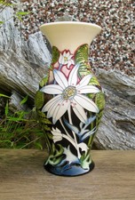 Moorcroft Rare FLANNEL FLOWERS