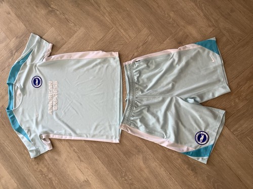 Brighton and hove albion - brighton,