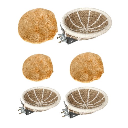 Bird breeding nest - nest, birds