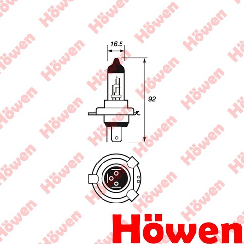 Fits ford bulbs manual - fits,