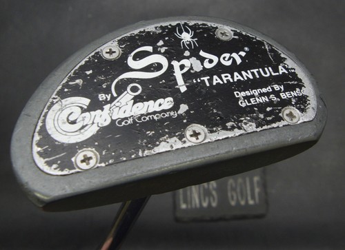Spider confidence tarantula - spider,