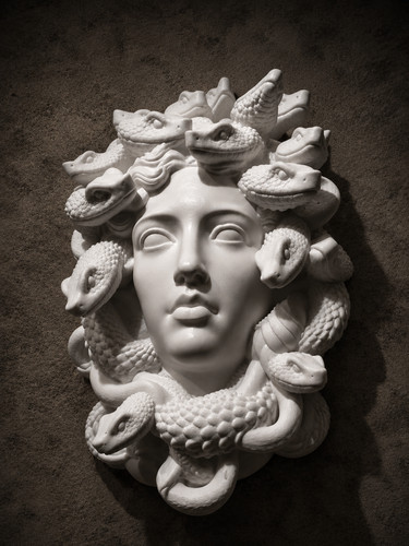 Elegant medusa wall sculpture - elegant,