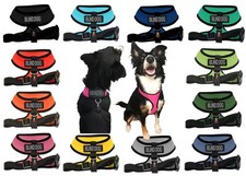 BLIND DEAF DOG Mesh Padded