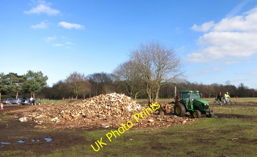 Photo 12x8 logpile - logpile, on