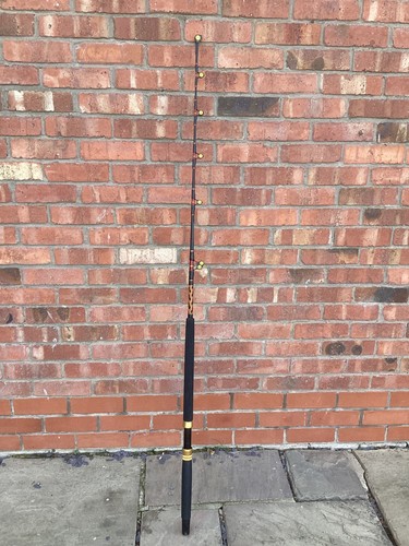 Big game fishing rod 30lb - fishing,