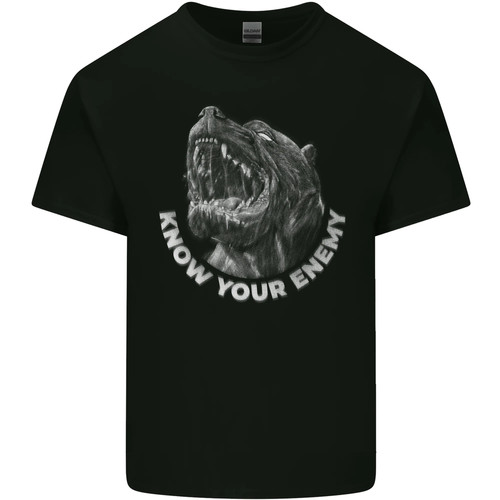 Know your enemy staffy - your,
