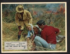 Nor the Moon by Night Lobby