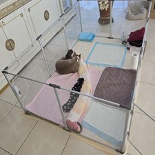 Clear Acrylic Dog Playpen