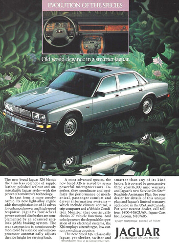 1987 jaguar xj6 evolution - 1987,