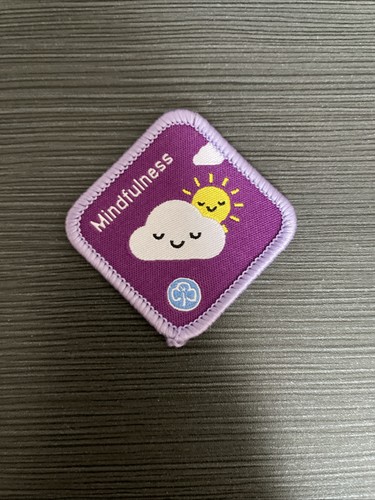 Girlguiding brownie - girlguiding,