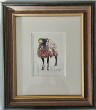 MARY ANN ROGERS 'Swaledale