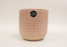 Indoor plant Pot  large 15 cms