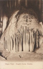 Somerset Postcard - Organ