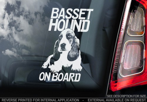 Basset hound dog car window - -,