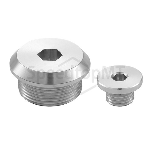 Stock crankcase cover cap - stock,