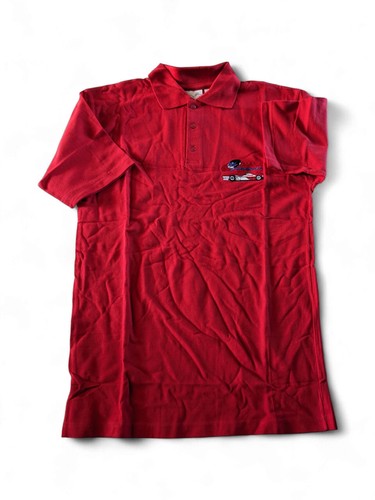 Brand new vintage arrows f1 - new,
