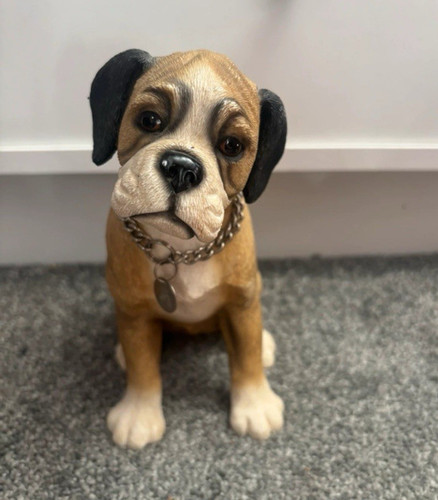Sitting boxer puppy dog - boxer,