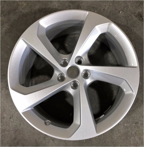 Jaguar pace fan 5 - jaguar,