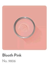 FARROW & BALL PAINT  SAMPLE 10ML - BOOTH PINK # 9806 DEAD FLAT!