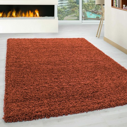 Thick large shaggy rugs - thick,