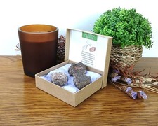 3 x 100% Genuine Dinosaur Bone