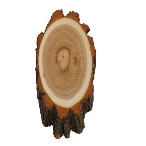 Acacia trophy shield deer - shield, buck