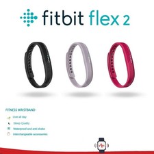 Fitbit Flex 2 Health Activity