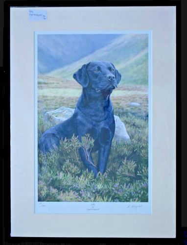 Nigel artingstall high quality - nigel,