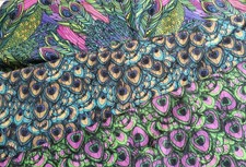 Peacock Feather Design Peacock