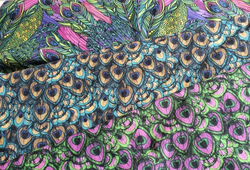 Peacock feather design - peacock,