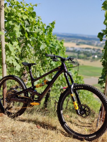 Capra uncaged xl frame - yt,