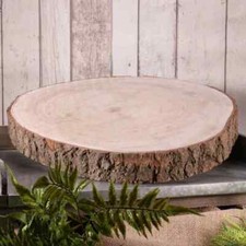 Log slices natural wood - log,