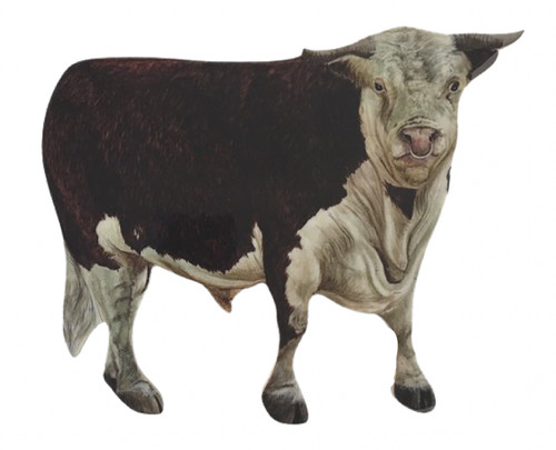 Bull plaque bulls aberdeen - -bulls,