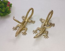 Komodo Dragon Unique Front