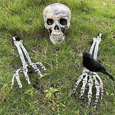 Skeleton Decoration With Crow