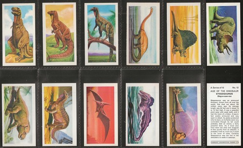 Cadbury full set age the - cadbury-full,