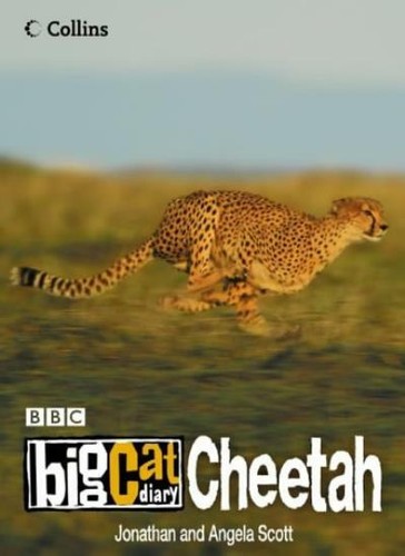Big cat diary cheetah by - big,