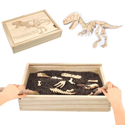 Dinosaur excavation - dinosaur,