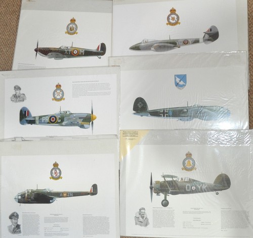 Choice royal air force - 12, +