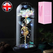 Eternal Forever Galaxy Rose