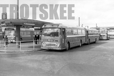 35mm Black and White Negative