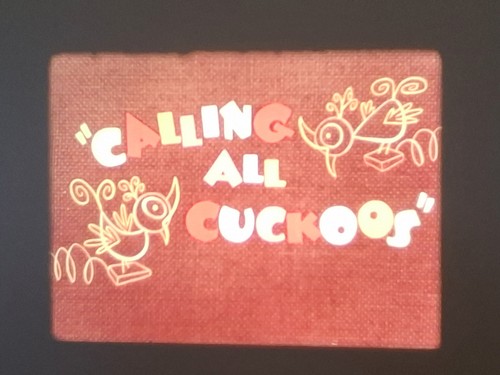 Calling all cuckoos 1956 woody - all,
