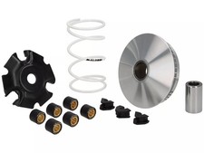 VESPA GTS 310 310cc  MALOSSI