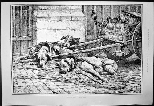 Antique print market day - antique,